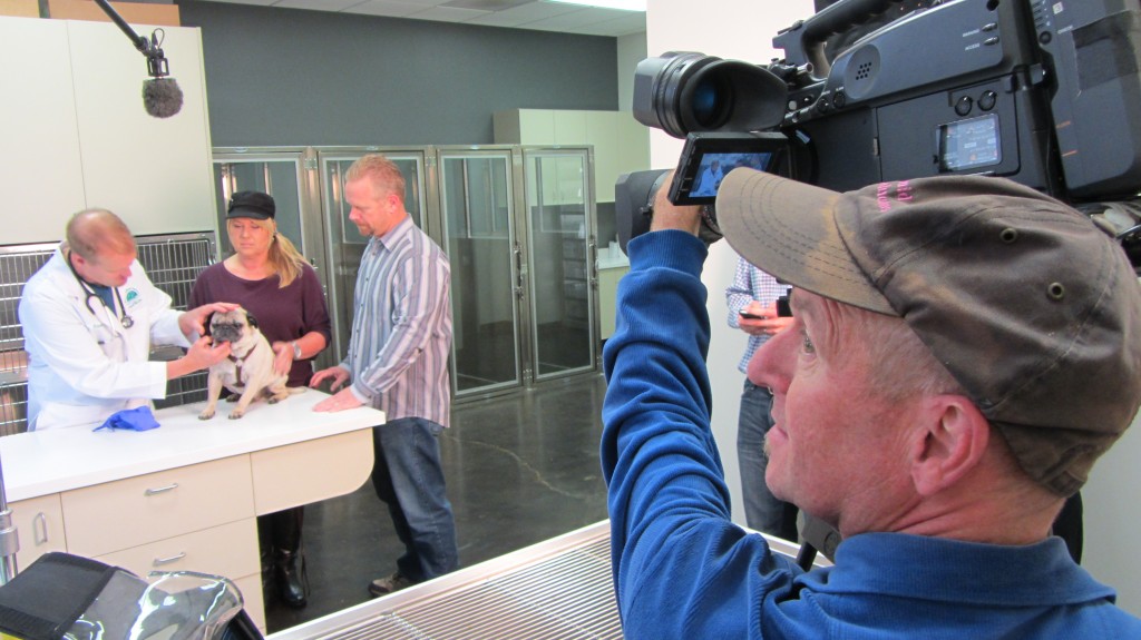 Director of Photography Mark Schulze Videotapes the Dog Dentist 