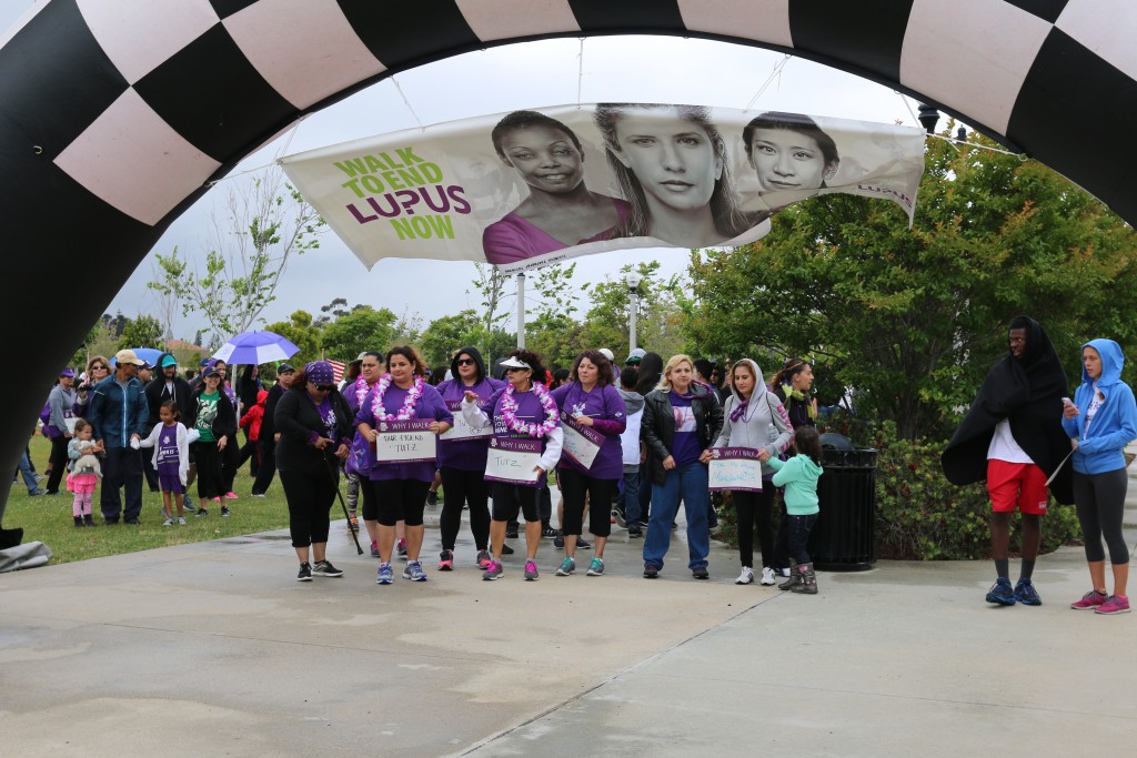 purple tulips for lupus 