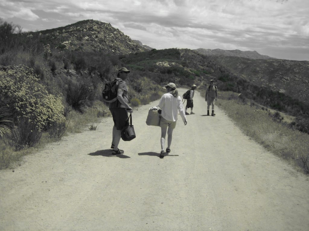 Lyons Valley Desert Hike with Family and Friends