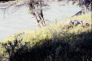 Athabasca River Bank