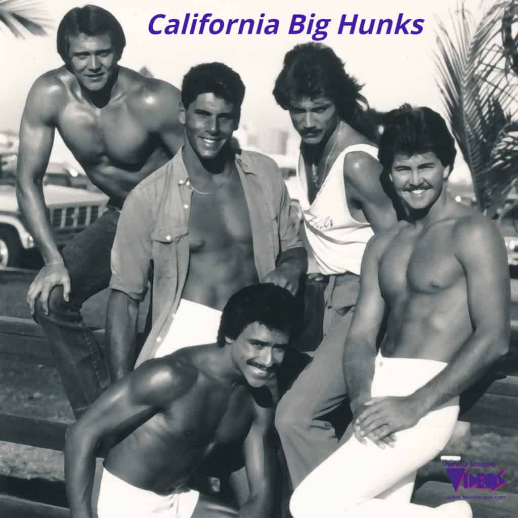 california big hunks vhs videotape