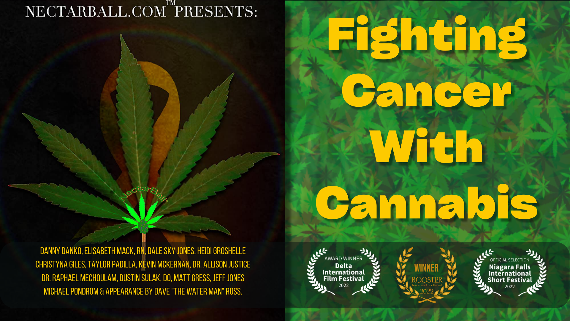 Fighting Cancer with Cannabis Award Winning Documentary