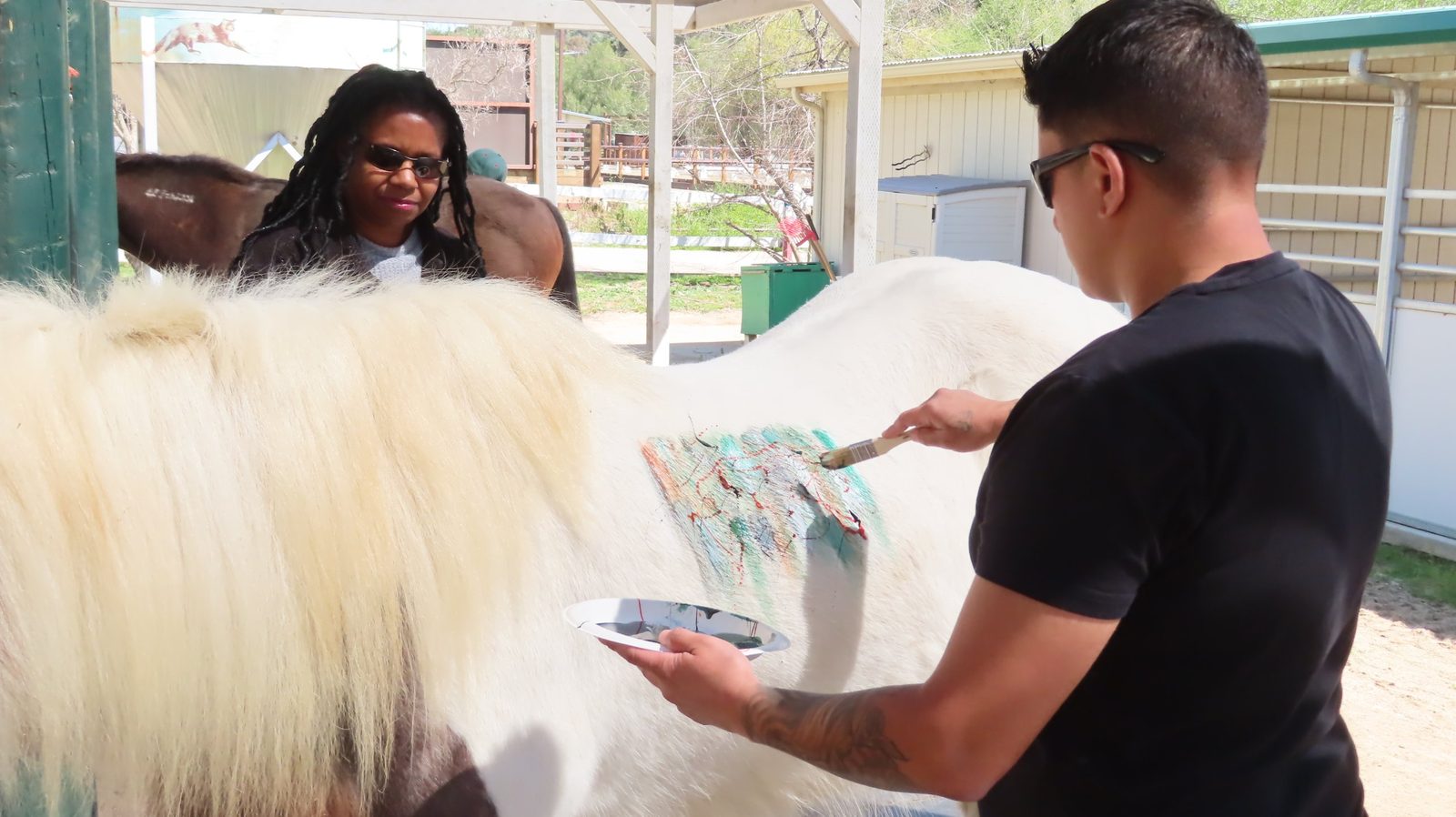 Participant painting on a white horse during filming of the Equine-imity Project for VA San Diego